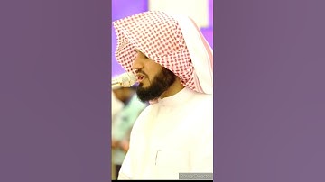 الهاكم التكاثر تلاوة هادئة رعد الكردي🌿🌿