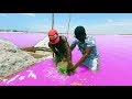 Shocking Things At The  Pink Lake of SENEGAL!