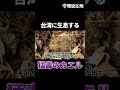 台湾の猛毒カエル バンコロヒキガエル #Shorts
