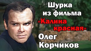 Жизнь и творческий путь актера Олега Корчикова
