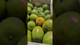 Mango #fruits