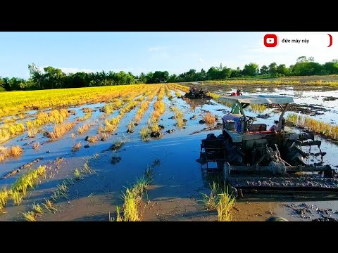 máy xới bánh