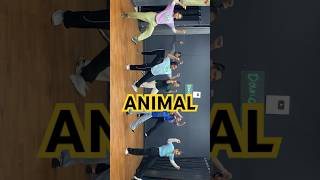 ANIMAL | Ranvijay Entry | Dance Fun #trending #animal #ranvijayentry #ranbirkapoor #ytshorts #ad