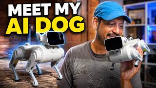 This Little Robot Dog Can Walk, Talk & Learn — GoGoBot D1