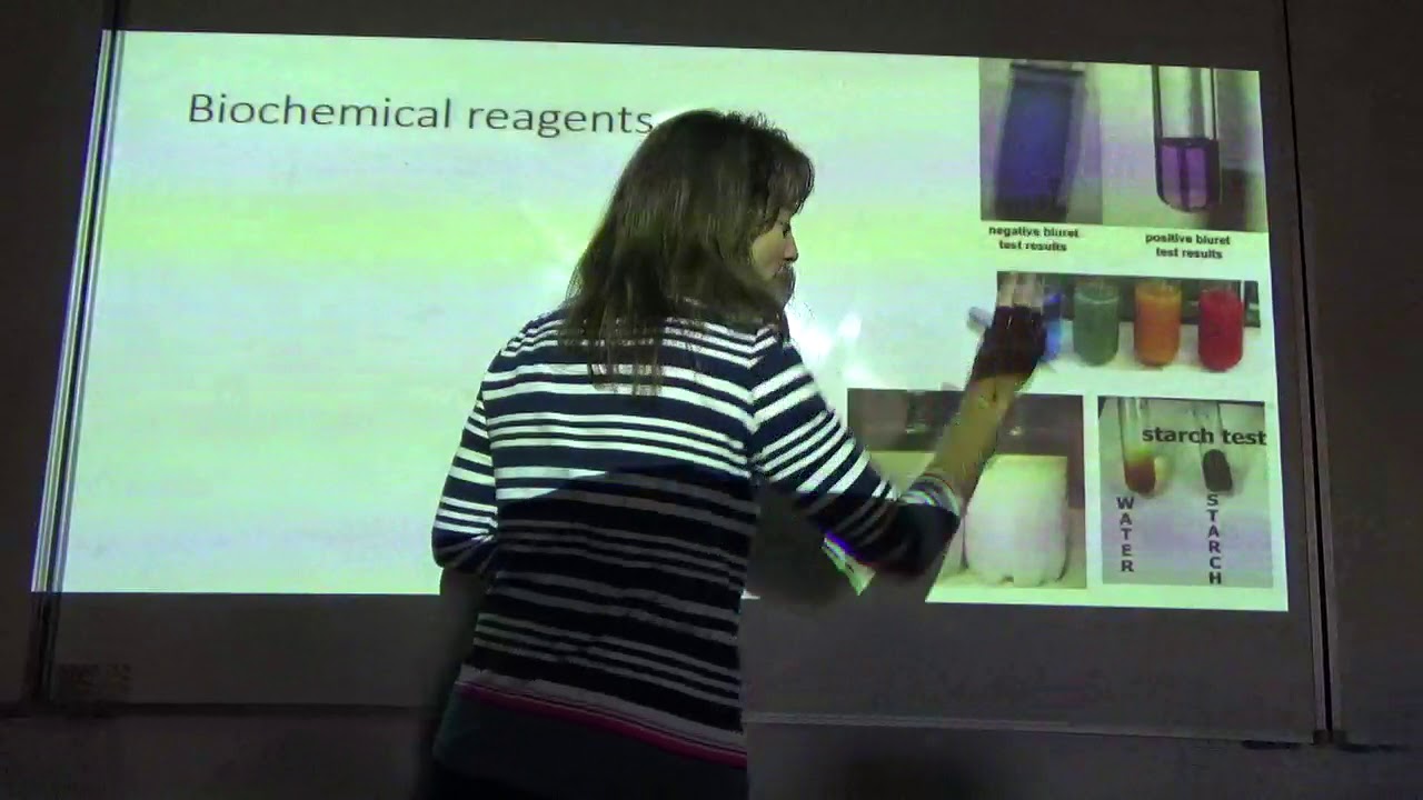 biochemical reagents and tests