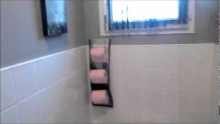 comment décorer des toilettes