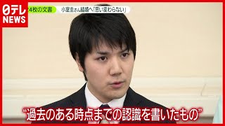 小室圭さん文書公表「結婚の思い変わらない」“金銭トラブル”に関して説明（2021年4月8日放送「news zero」より）