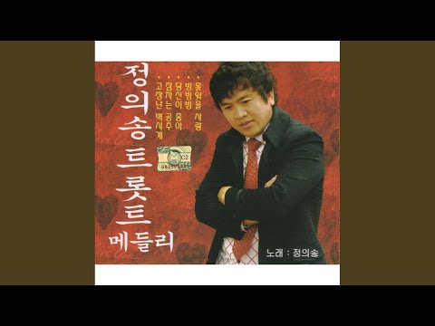 못잊을 사랑