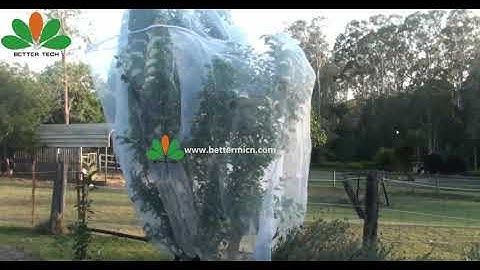 Fruit Tree Cover | Tree Netting | Apple Protective Netting
