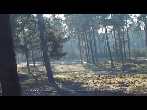 Hoge Veluwe live stream