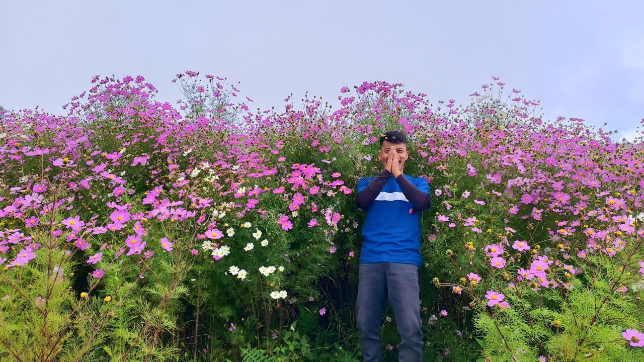 KAPAMODZÜ, Phek, Nagaland | Mego Naga