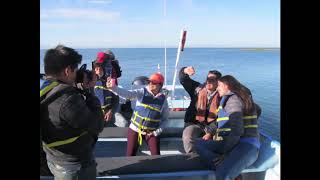 undl ballenas ojo de liebre 2019