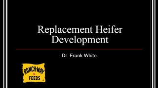 Replacement Heifer Development Webinar w/ Dr. Frank White