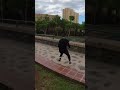 Parkour In Tenerife 🏝️