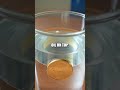 The Incredible Coin Oil Float Experiment