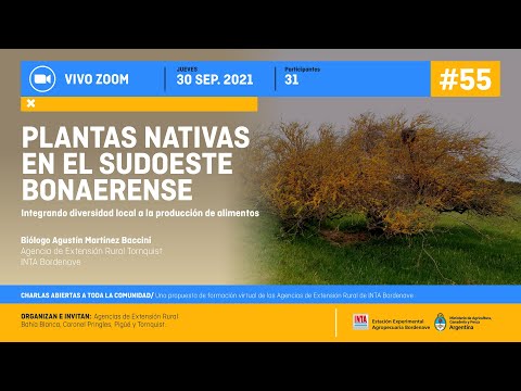 Plantas Nativas en el sudoeste bonaerense
