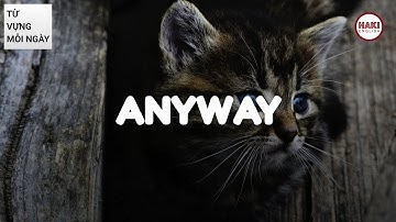 ANYWAY | Phát âm - Giải nghĩa - Ví dụ | Từ vựng tiếng Anh