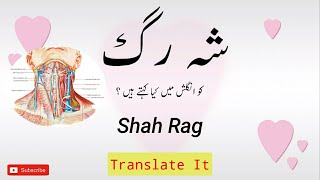 "Shah rag "Translate In English || شہ رگ screenshot 3