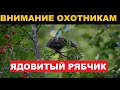 ❌О ЯДОВИТОМ РЯБЧИКЕ. ОБ ОХОТЕ НА РЯБЧИКА.