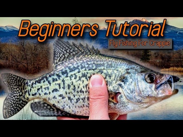 DEADLY FLOAT TACTICS for CRAPPIE - Homemade FOAM FLY FISHING FLOATS for  CRAPPIES 