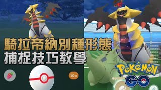 騎拉帝納 Giratina 別種形態 捕捉技巧教學 Pokemon Go