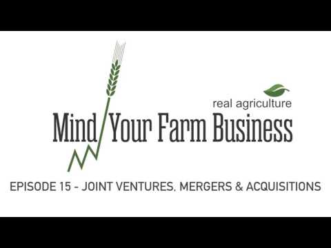 Greenfield Joint Venture Meaning