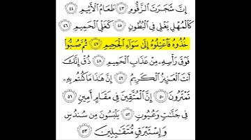 بـــــيــن الزقــــــــوم والنعــــيم… مشــــهد يهز القـلوب في سورة الدخــان#المصحف_اسلام#راحة_نفسية