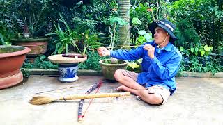 Cung tên tử thần (cây cung mía)