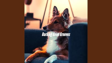 Pulsating Keeping Dogs Entertained