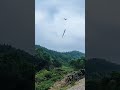 drones #china #drones