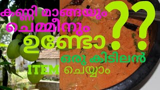 കണ്ണി മാങ്ങയും ചെമ്മീനും ഉണ്ടോഒരു കിടുക്കാച്ചി item ഉണ്ടാക്കാം || CHEMMEN CURRY ||