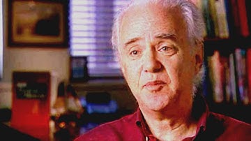 How memory is stored in our brains