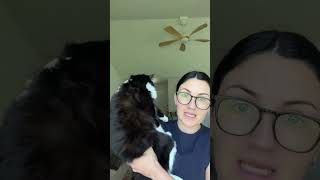 #ad I’m partnering with Change.org because declawing isn’t just removing a cat’s claws