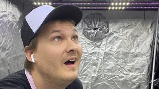 GrowPro Solutions DRAGON: the future of grow lighting is now!!!!!!