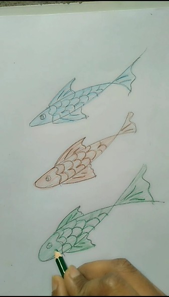 How to draw three unique fish | step by step Tutorial for beginners 🔥🔥 ...
