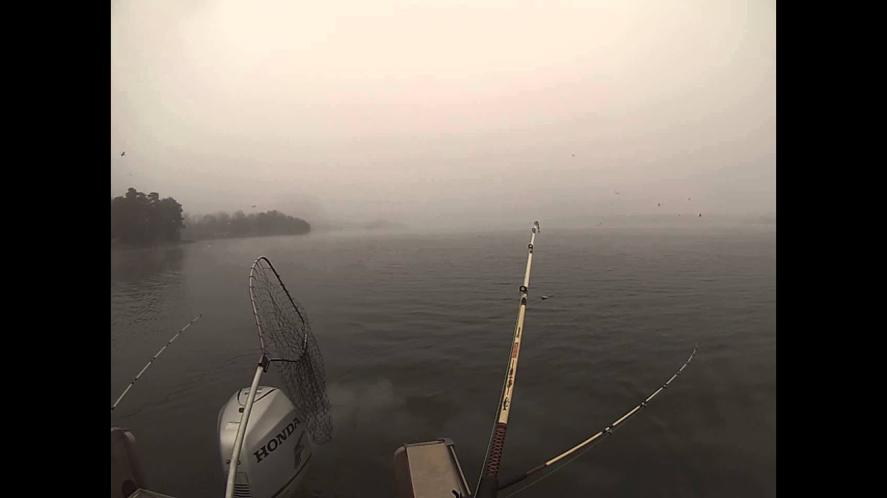 Lake Norman, Striper Fishing. January 12, Part B YouTube