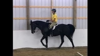 How to Bring Our Your Tennessee Walking Horse's Natural Running Walk