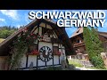 Города Германии | Шварцвальд | Nature of Germany | Schwarzwald 2020