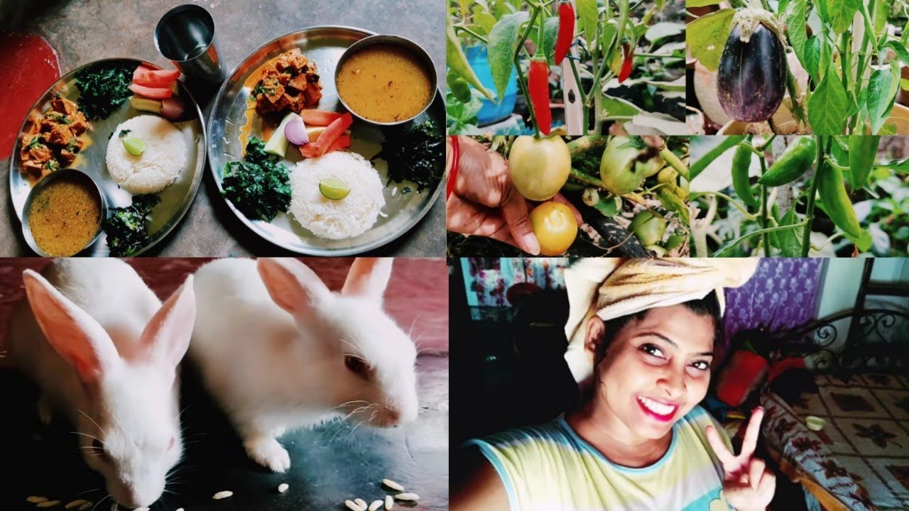 Kitna Pyara vegetable Garden ban gaya😇 /Jab mesho se Kuchh order Karti