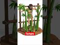 Can A Growing Bamboo Pierce Through AHuman Body?🎍