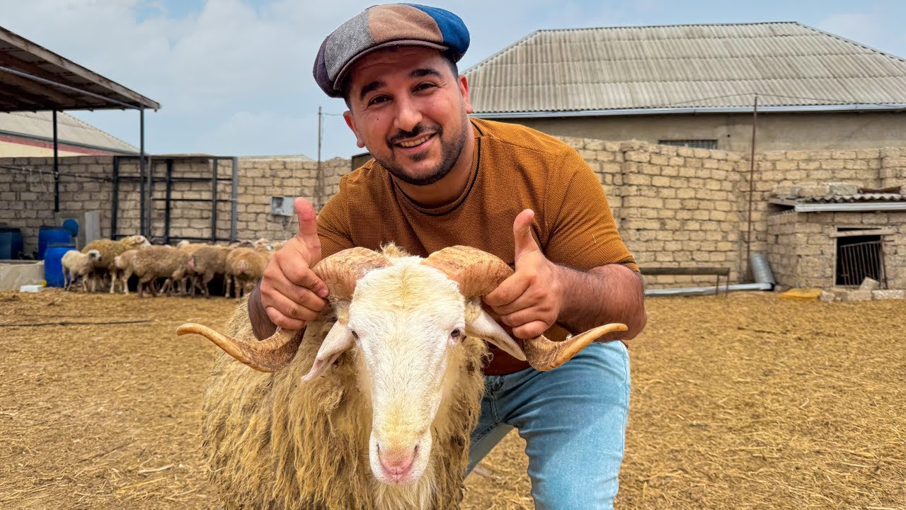 VAUU! Belə Quzu Əti Hələ Heç Kim Bişirməyib!  Ocaqda BUĞLAMA Reseptİ