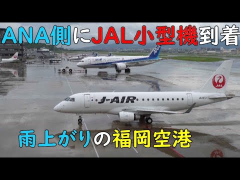 [4K動画] ANA側メインゲートに小さなJAL機/福岡空港, 2021/7/9
