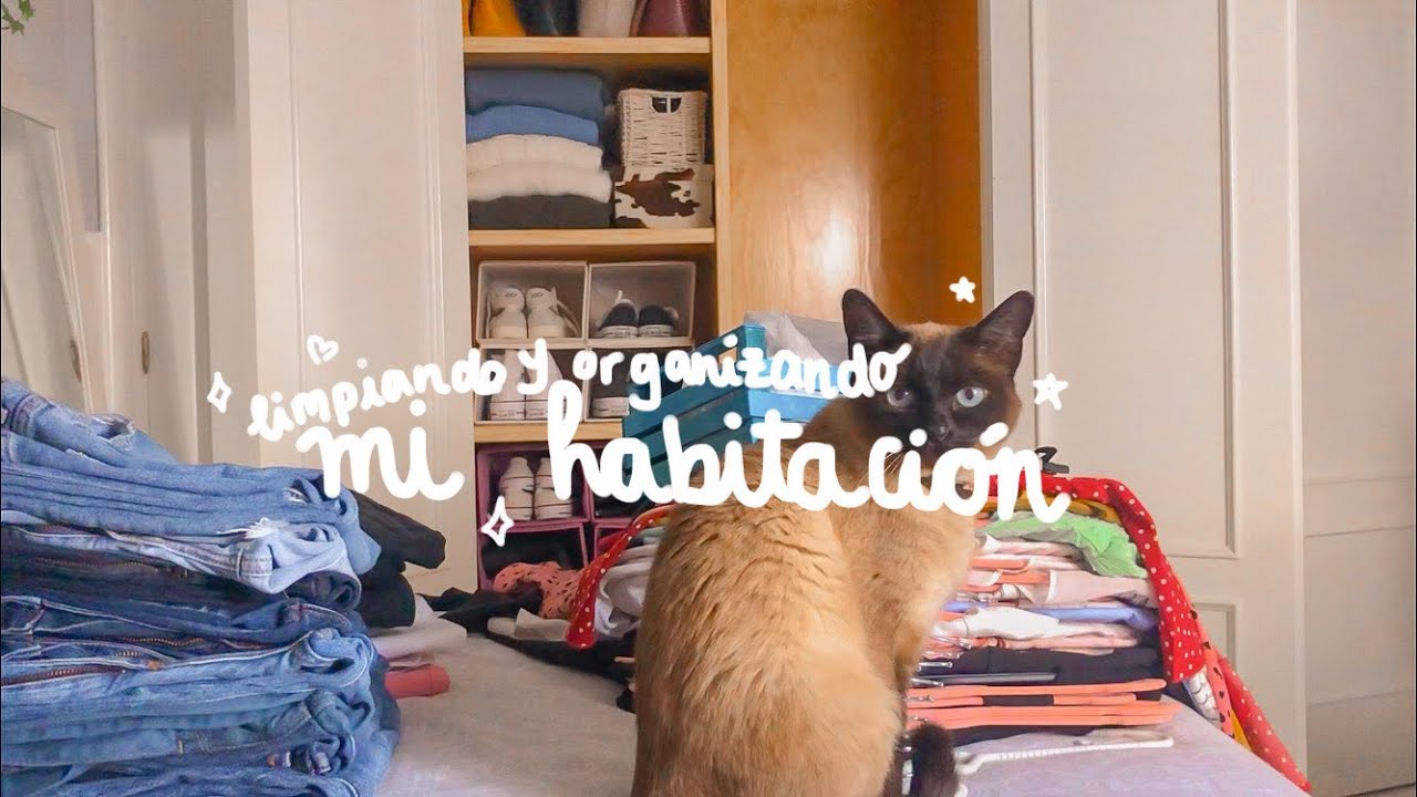 limpiando y organizando mi habitación | closet tour, consejos de organización... 🪴