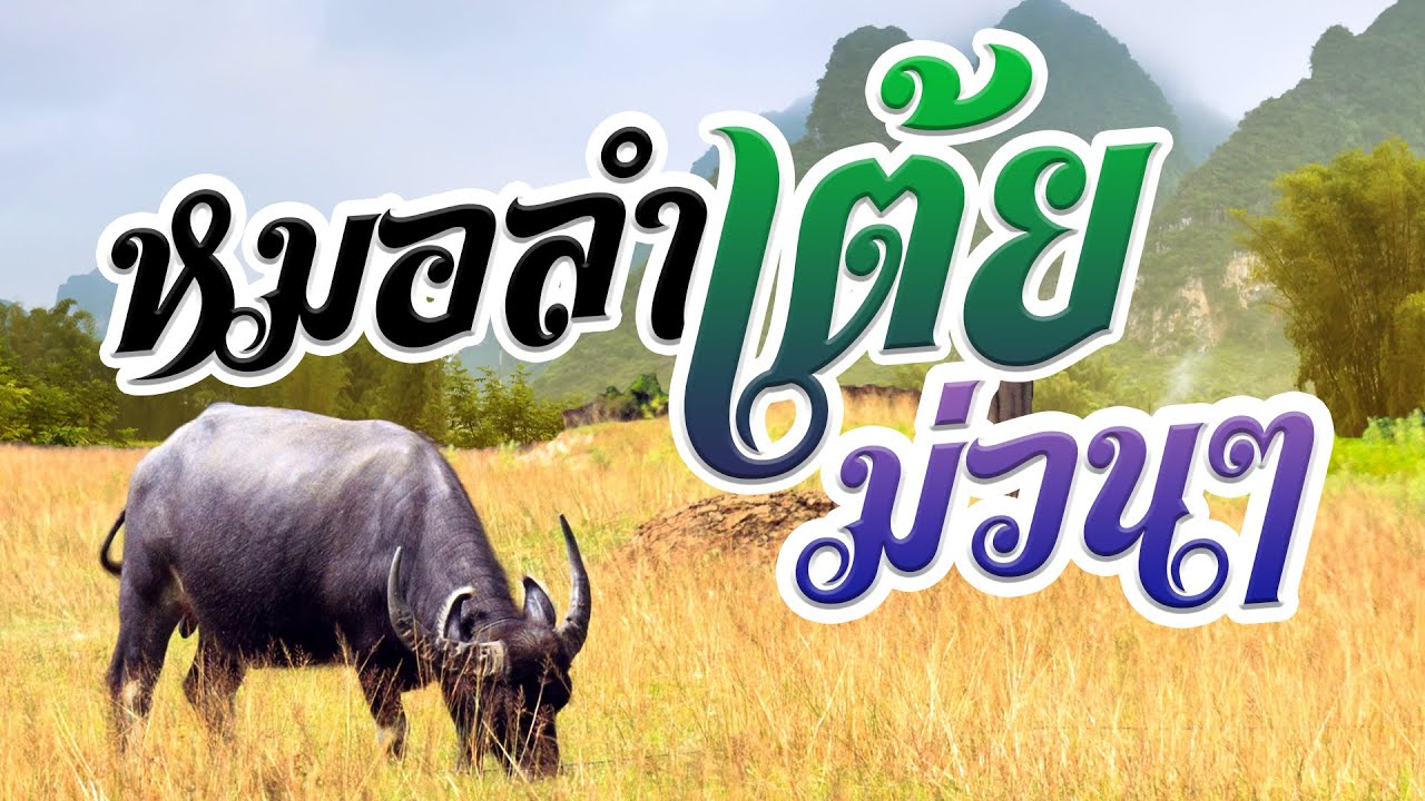 รวมเพลงหมอลำเต้ยม่วนๆ