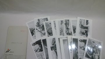 映画 スチール写真 バニシング・レッド 17枚 ダブリ有 不良2枚