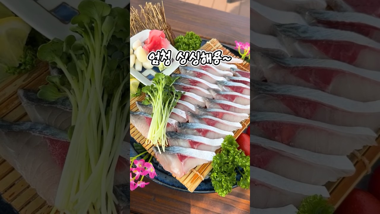 제주 고등어회 끝판왕 제주 1등 고등어회 맛집! 뷰 맛집! #shorts