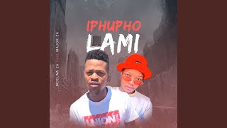 Iphupho Lami
