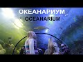 океанариум киев морская сказка украина / oceanarium kiev ukraine
