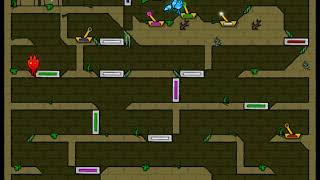 Fireboy and Watergirl Forest Temple Level 17 screenshot 5