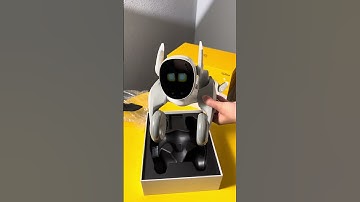 Unboxing Loona！ #keyitech #petrobot